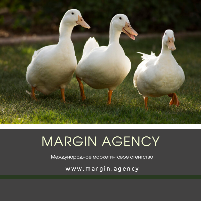 margin_agency's tweet photo. Джек Дорси, возглавляющий Twitter, сообщил в микроблоге, что DuckDuckGo – его фаворит. Он оценил как поисковую систему, так и одноименное приложение, отмечают Margin Agency.
https://t.co/cxlU8lHzUf
#marginagency #продвижение #продвижениеtwitter https://t.co/UDMDgjxpUO