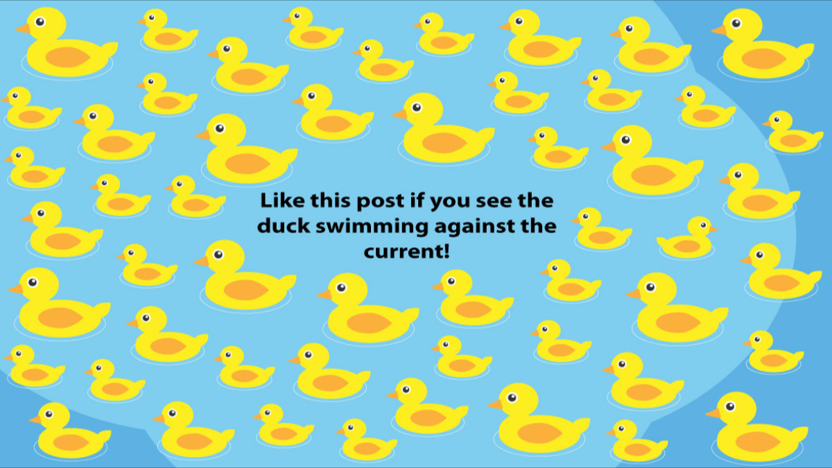 In 2020, adopt the ugly little duckling of #data 🐣
Like it if you see the duck swimming against the current!  🐤
And discover the story 👉 swll.to/wishes2020