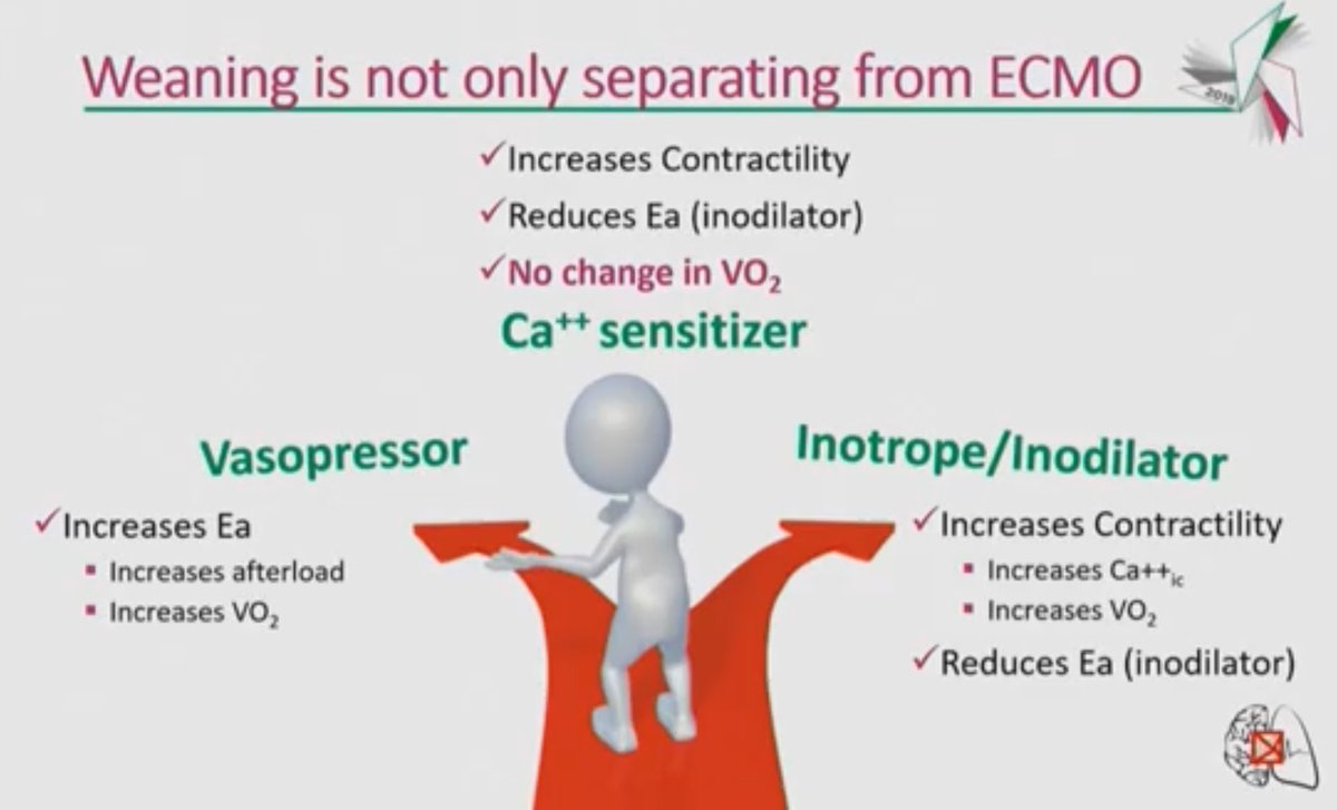FOAMecmo's tweet photo. Successful wean from VA #ECMO?
provide adequate tissue perfusion avoiding miocardial injury
do not forget RV
measure! can't guide weaning w/o measuring
@docsanga @Smart_Meeting_M 2019 full video #FOAMcc https://t.co/noVKmb6NRY waiting for #SMARTmi2020 next May 27-29 in Milan! https://t.co/WpoAFHs2CL