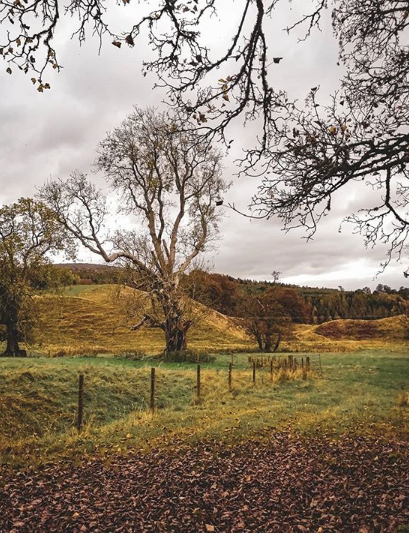 🍂 We love these seasonal snapshots of East Gatehouse Lodge 

Did you know that you can stay at all our cottages for 3 nights for the price of 2 until the 10th of February? 

Book direct today via monzieestate.com | @thescotbox <a href="/VisitScotland/">VisitScotland</a> #travel #ScotlandisNow