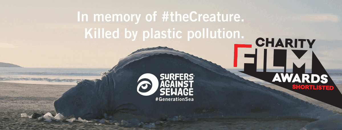 The creature lies dead on a beach, killed by plastic