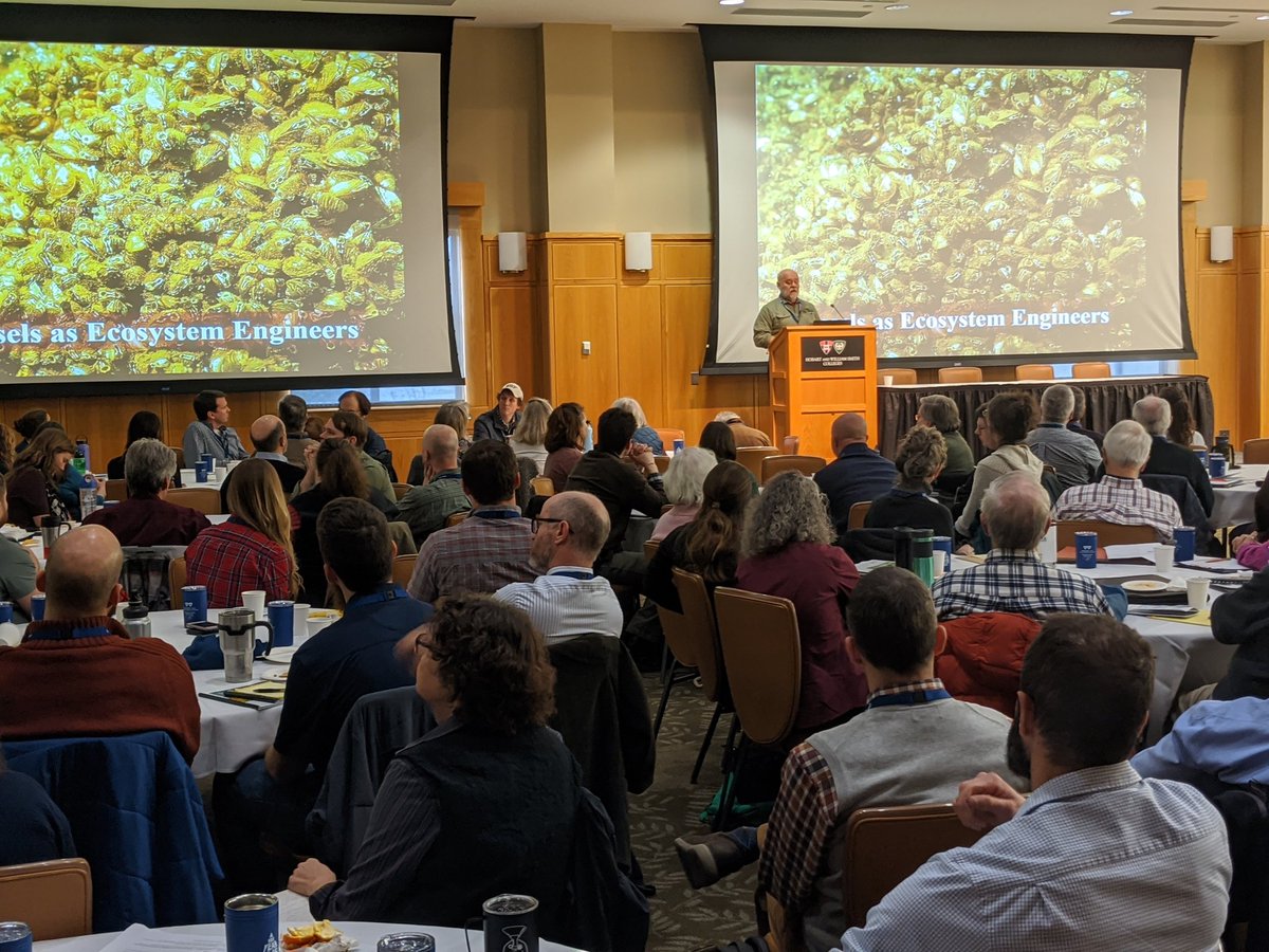 FLPRISM's tweet photo. Session 2 widens our watershed view to include projects in the Great Lakes basin including invasive mussels in Oneida Lake and restoration efforts of some of the region's worst Invaders in an AOC @Brockport @Cornell @FLIatHWS https://t.co/6JAjllL9W2