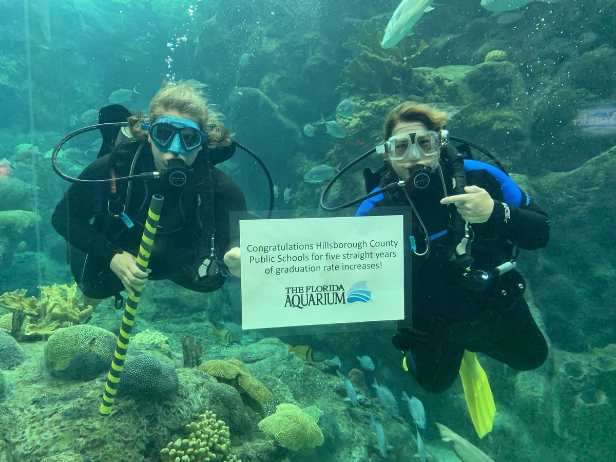 floridaaquarium's tweet photo. Congrats to @HillsboroughSch for 5 straight years of graduation rate increases. Wave to go! 🌊🙌 #WednesdayMotivation #FloridaAquarium @HillsboroughFL https://t.co/QDtbL26V4X