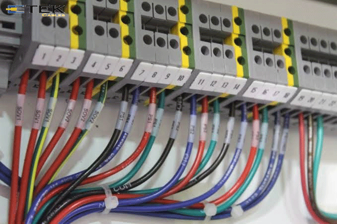 Etekcables's tweet image. This particular category 6 augmented or cat6a cable is the advanced version,etekcables.com
 #Cat6APlenum
#showmecables #newyorkcable #smartechcables #cablesupply #mbcommunication #cablemonkey #cables4sure #etekcables #tscables #1000ftcables #bncables #cablewholesale