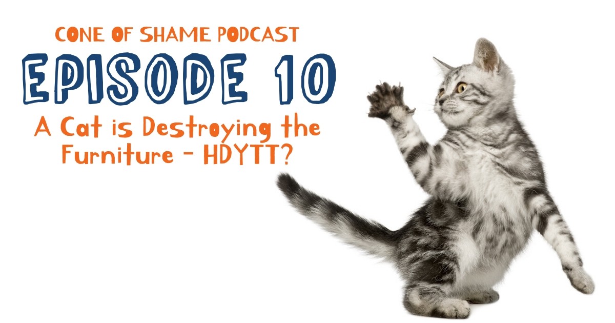 Ingrid spoke with <a href="/DrAndyRoark/">Dr. Andy Roark</a> about scratching behaviors and how to deter cats from scratching on things they should not. Hint: location, orientation &amp; substrate are the keys to success! #pawproject  #fundamentallyfeline #atlantacatbehavior #coneofshame 
ow.ly/7WZ950xWexr