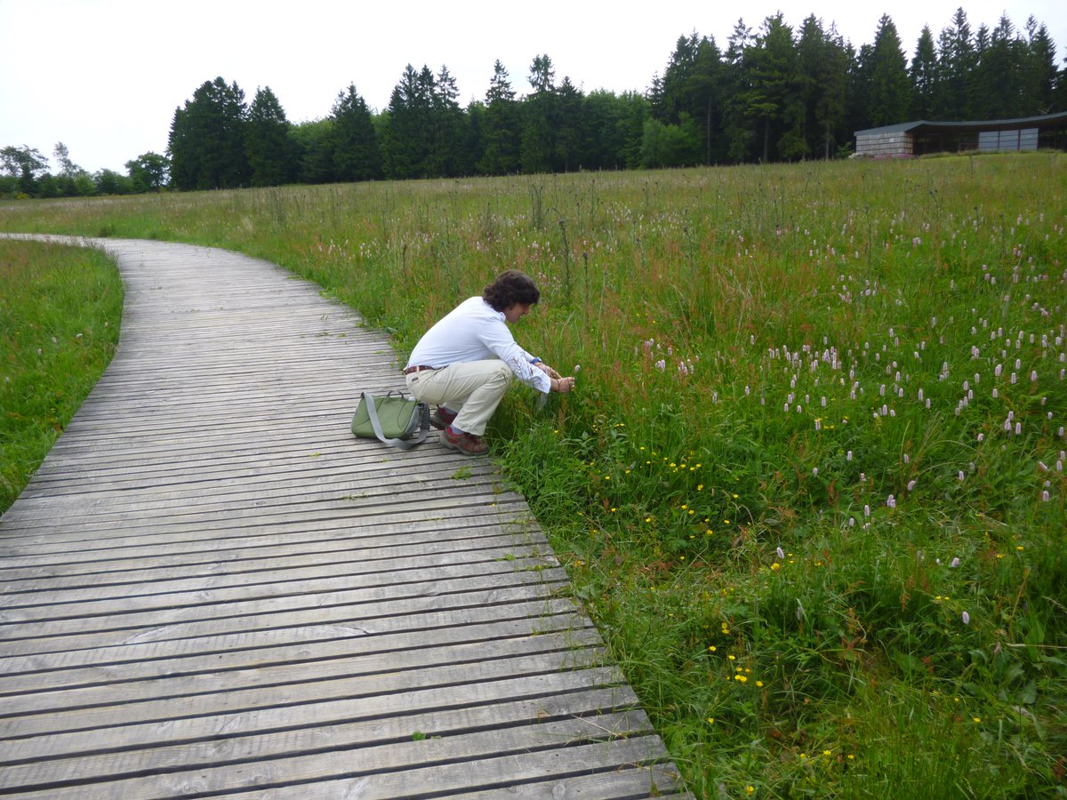 JoseLViveroPol's tweet photo. Memories from my previous #BIOMOT work at @ELI_UCLouvain @UCLouvain_be with @florinpopa10 (here) at Domaine de Berinzanne (Ardennes) Belgique. The good old times of academic research. Six papers produced here:  https://t.co/FdIksXIig2
@DedeurwaerdereT @bcoolsaet @KnippenbergLuuk https://t.co/qDF6ZzfOeZ