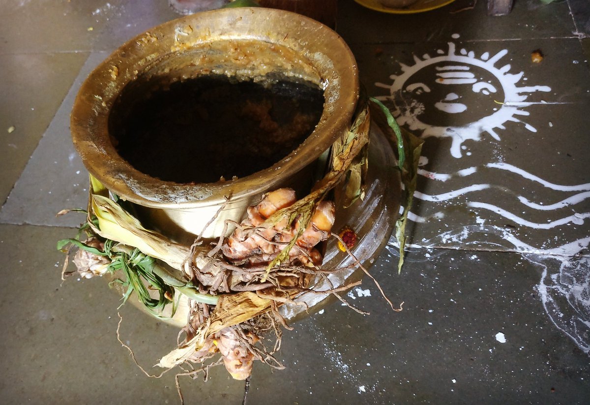 Remains of Mypati's chakrapongal and beaming sun kolam. 
When you can't make your own sweetness and light, grandma-made will do. 
Happy Pongal-Sankranti-Bihu-Lohri goodness to youse!  #harvesthappiness  #Tamthings