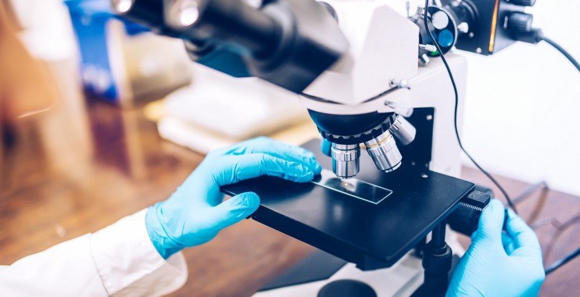 PeriodicoGiron's tweet photo. Morphometrics: Another weapon to fight against #Cancer. #Science @mariacelys @adrialisrosari7 @arletispeke @adryoliva_ @taboamerino @AyoseNaranjo @matanceracubana https://t.co/kt0wza17Jr https://t.co/jT0JXwBRIA