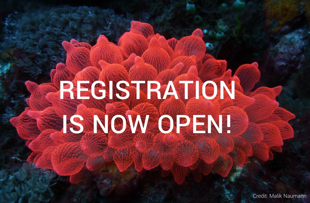 REGISTRATION OPENING - Online registration for ICRS 2020 just opened for all presenters and interested participants. Let's tackle the global coral reef crisis together this July in Bremen! Benefit from our "Early Bird" rates until 31 March! #ICRS2020
icrs2020.de/registration/r…
