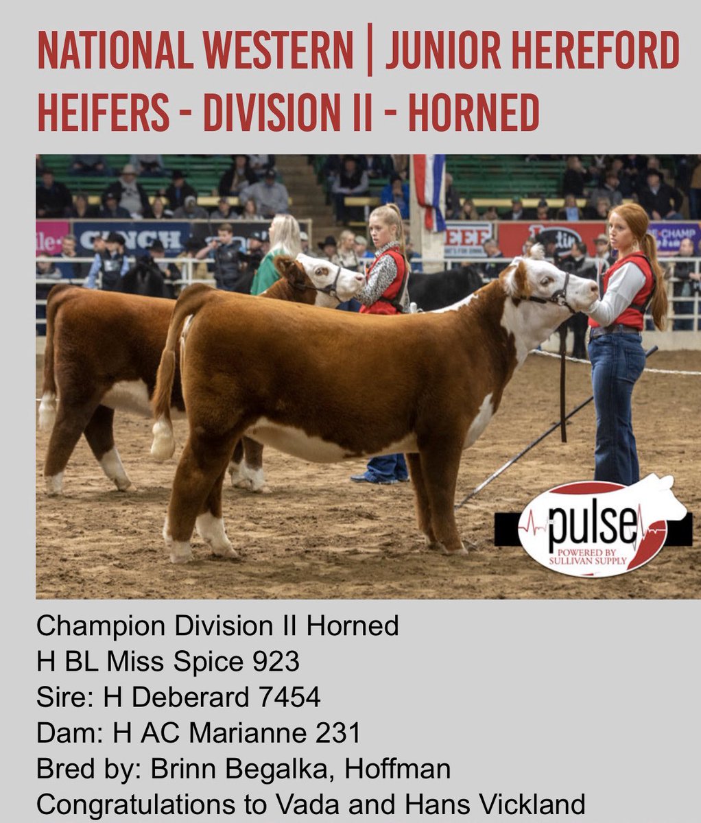 Begalka Livestock (@begalkal) on Twitter photo 