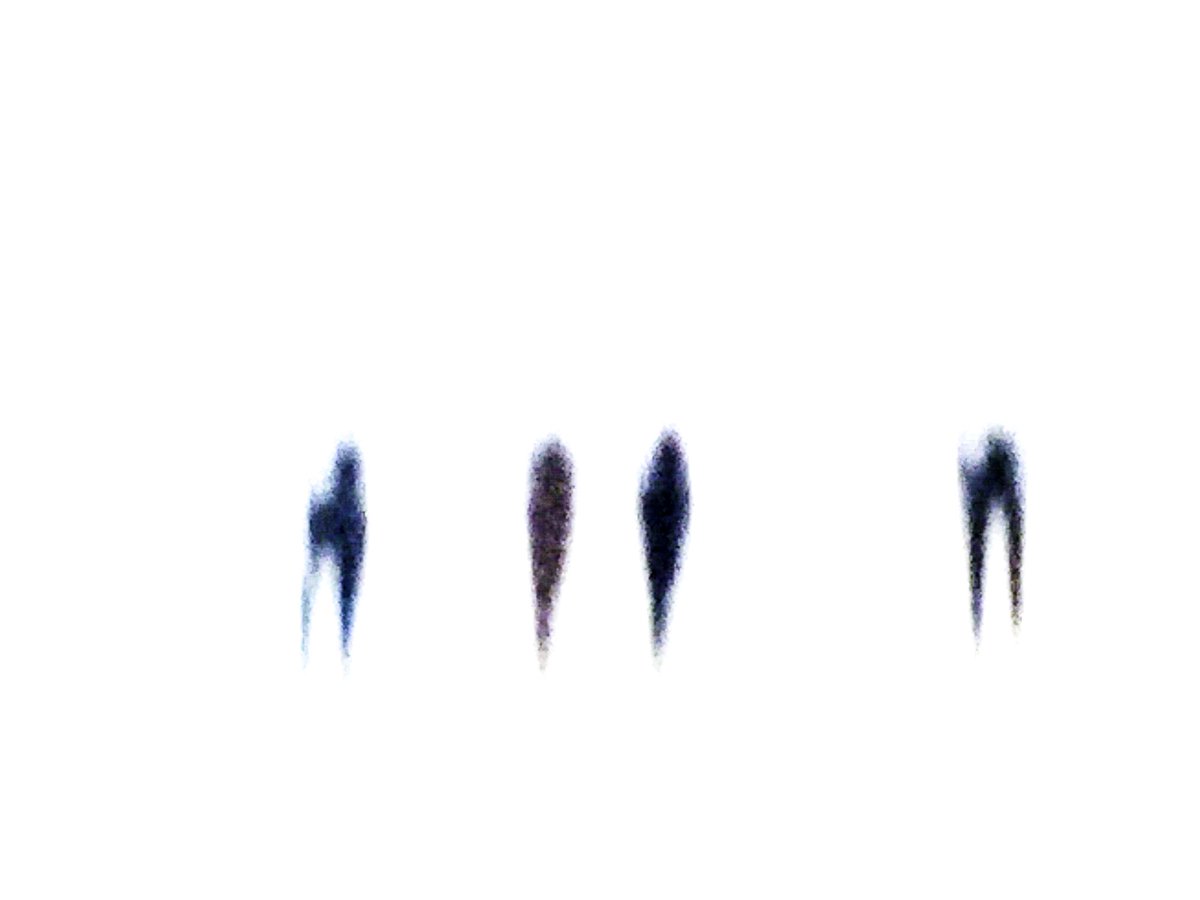 greganthon's tweet photo. #WalkingShadows #Abstractphotos #ICM
#ShotonIphone6 https://t.co/WczVm75dAz