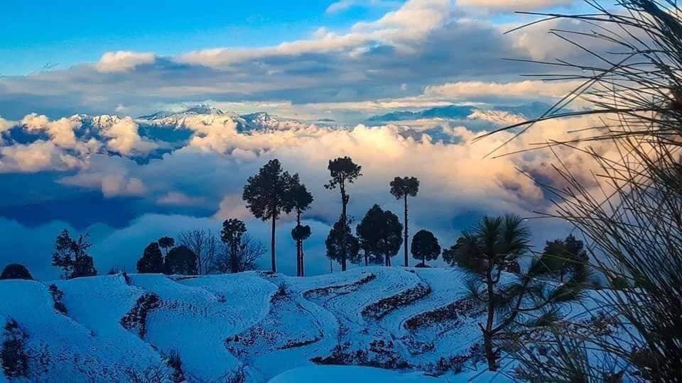 YousafzaiState's tweet photo. Newly camping ⛺️ pods installed in #Tarinan #Buner 
#nature #snow #mountains #adventure 
#Tarinan #mahaban #Buner 😍❤️ https://t.co/XOgpTfyCly