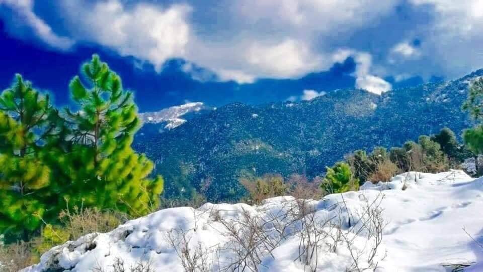YousafzaiState's tweet photo. Newly camping ⛺️ pods installed in #Tarinan #Buner 
#nature #snow #mountains #adventure 
#Tarinan #mahaban #Buner 😍❤️ https://t.co/XOgpTfyCly