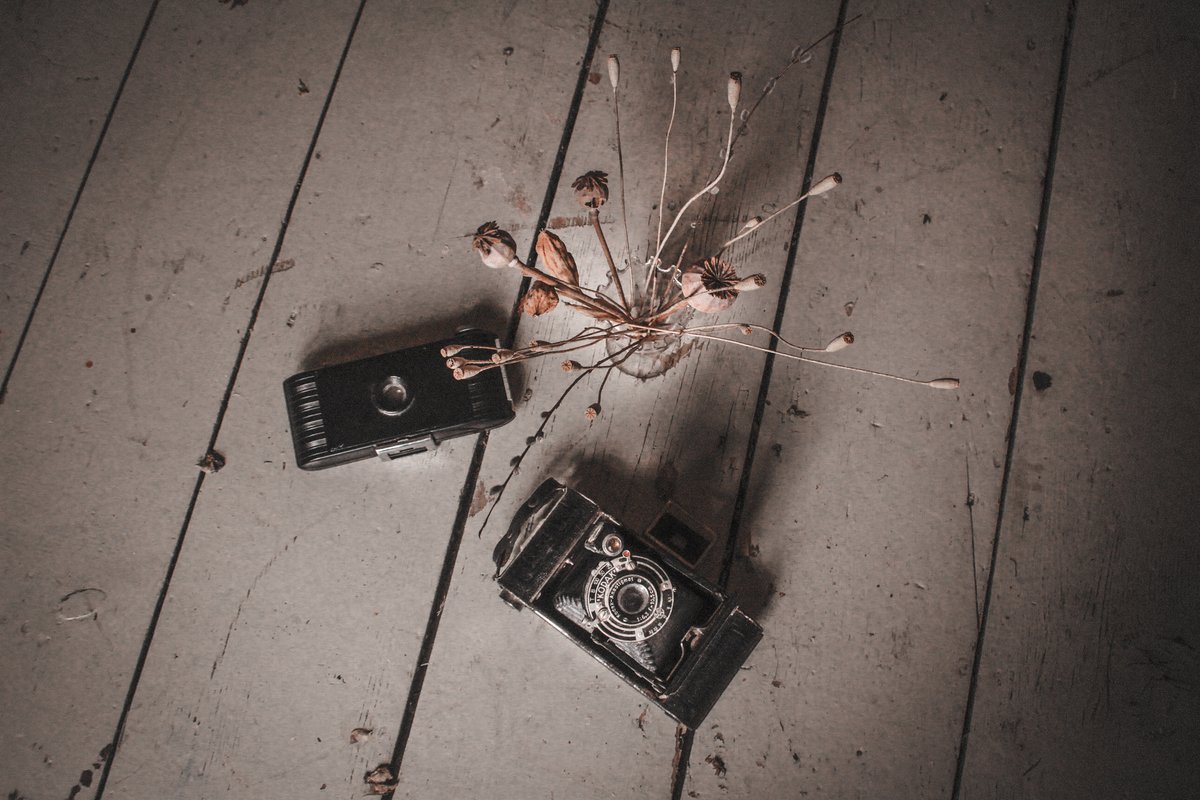 Lyde Court life 📷
soo.nr/tQKv
#beauty #vintage #wedding #lydecourt