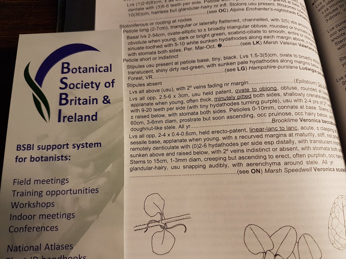 BSBI: Botanical Society of Britain & Ireland tweet media