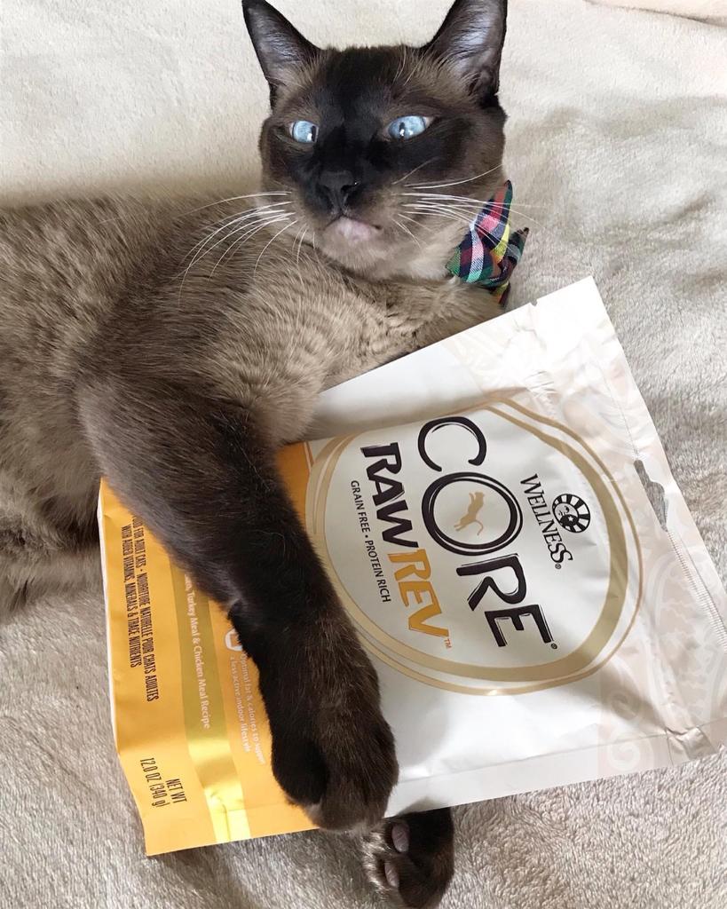 wellnesspetfood's tweet photo. Did you know 9 out of 10 cats love #WellnessCORE RawRev? We think this kitty  might be one of them! #catisfactionguaranteed
.
.
.
📷 mrdaves https://t.co/Enx6or5jHL
