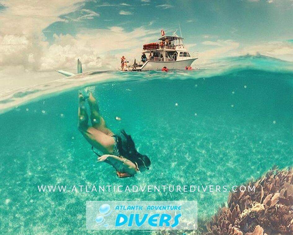 AtlAdvDivers's tweet photo. Adventures Coming Up
.
.
.
.
.
.
https://t.co/Dk7EJMkA7T
#atlanticadventuredivers #dive #underwaterworld #scubadiving #scuba #instadive #scubadivinggirls #divinglife #island #diving https://t.co/w18fSNpLsA