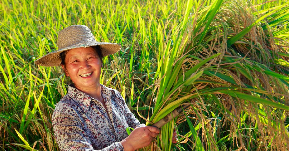 RockefellerFdn's tweet photo. We are pleased to support the @IIXglobal's #WomensLivelihoodBond 2! #WLB2, which closed at US$12 Million, is Asia-Pacific’s second multi-country gender bond set to create livelihoods for 250,000 women across the region. https://t.co/1kfka3WTEw https://t.co/HvTW2nUHL9
