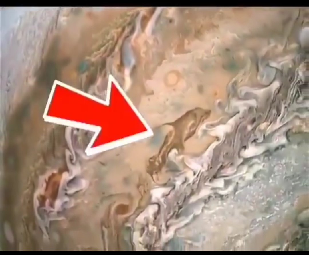 Mandford's tweet photo. SPACE DOLPHIN, YOU GUYS 🌌🐬 #SPACE #DOLPHIN ON JUPITER #SPACEDOLPHIN https://t.co/MXniVMSN5N