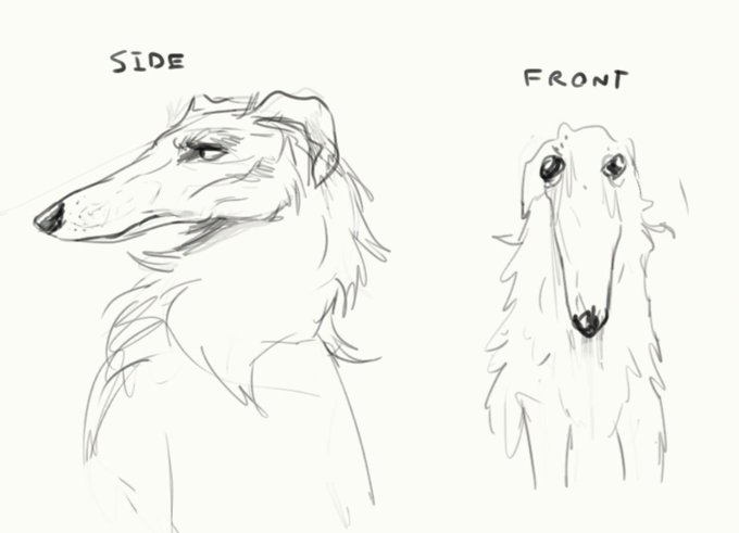 I love how borzois can so quickly go from stoic longbois, to retarded pylons, depending on what angle you look at them 