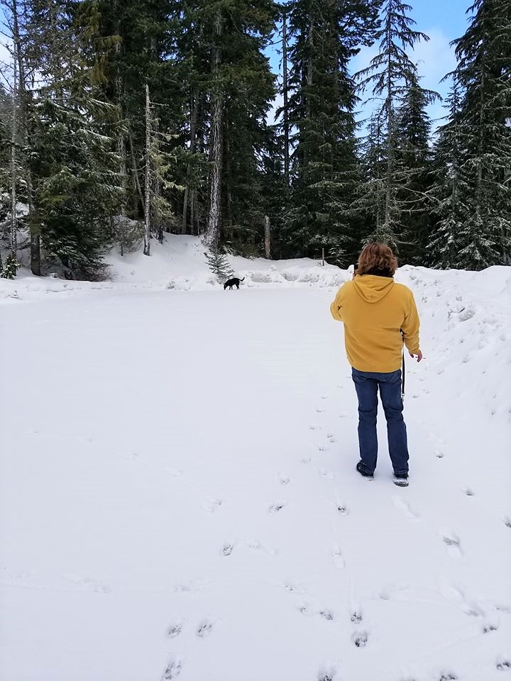 PET OF THE WEEK: This is Bob's dog Socks enjoying the snow.  Stay warm!
tacomarv.com