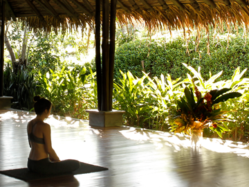 JillianPransky's tweet photo. FLASH SALE! Enjoy Yoga International's New Year Special a $500 Savings on my upcoming Costa Rica Yoga Retreat (4/18-4/25 2020)! Hurry! With only 2-double rooms left this New Years Special will certainly go fast! Learn more &amp; register here: https://t.co/gi7ftd0L8P https://t.co/eIeXpOxJgx