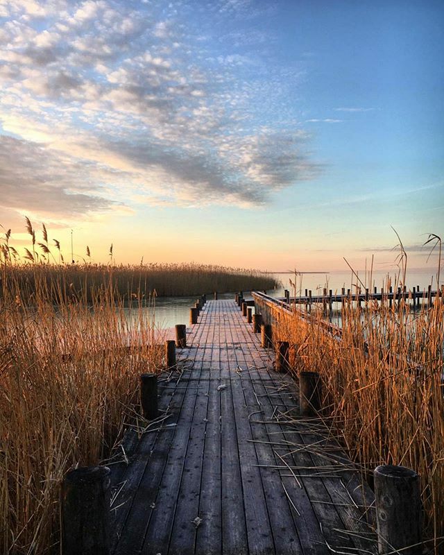 ❄️♥️Wintersaison .
#neusiedlersee #seekinder #wintersaison ift.tt/35XhCCL