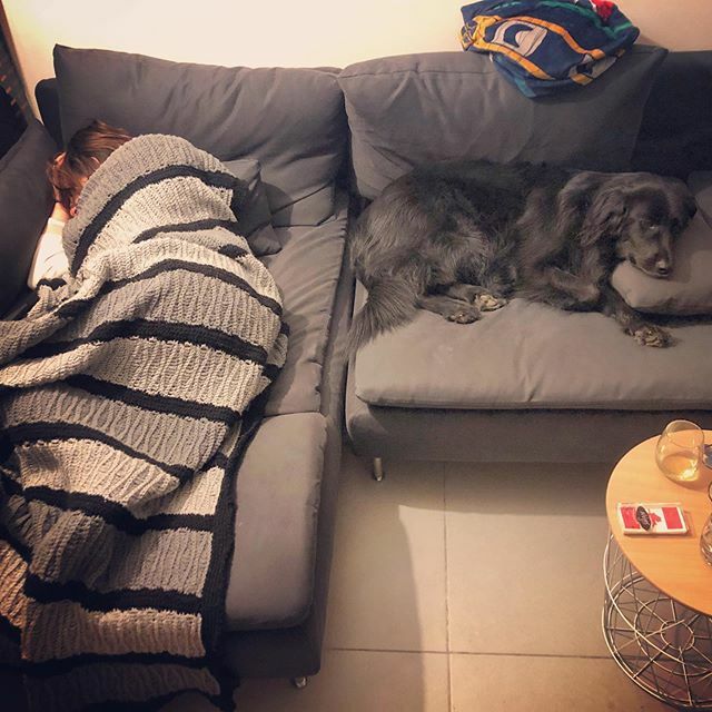 KPstraightupG's tweet photo. Lazy bones https://t.co/6qJuj9huic https://t.co/FeMB7X6Vat