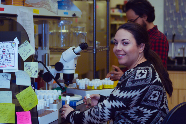 scicommlab's tweet photo. .@ibiology doesn’t just have exciting science, it has #profdev #careerdev training to take you and your research to the next level. If it’s #NewYearNewMe, take our free online courses! https://t.co/45hdopWm4K #iBioCourses #OnlineCourses #biology https://t.co/hqJOOghUdP