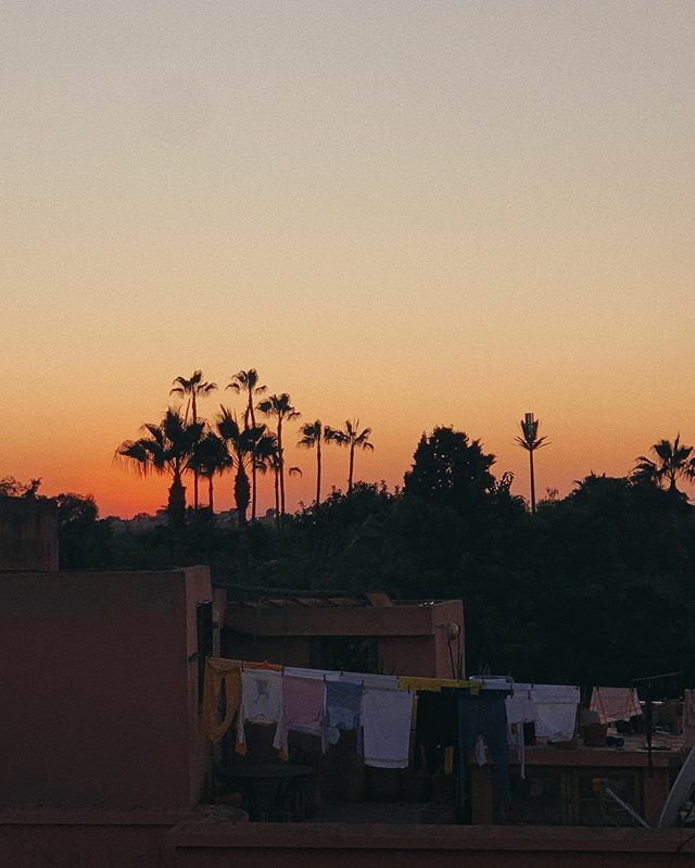 Forever chasing palm trees 🇲🇦 ift.tt/2uJFzQT