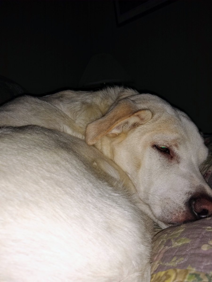 When Mom says it's time to get up, but I say I don't think so.