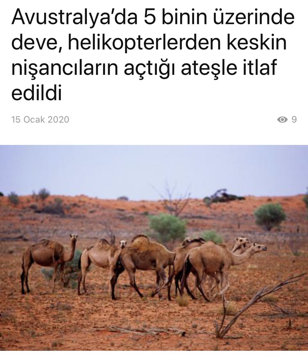 Matbaanin Tarihsel Gelisimi Ceviriblog