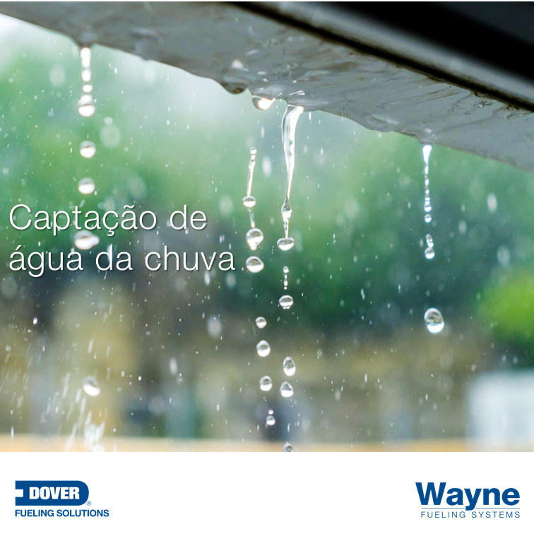 wfsbrazil's tweet photo. A água da chuva é captada e reaproveitada no processo produtivo da fábrica, eliminando a necessidade de uso do recurso hídrico potável.
#SustentabilidadeDFS. https://t.co/rytkhfMD22