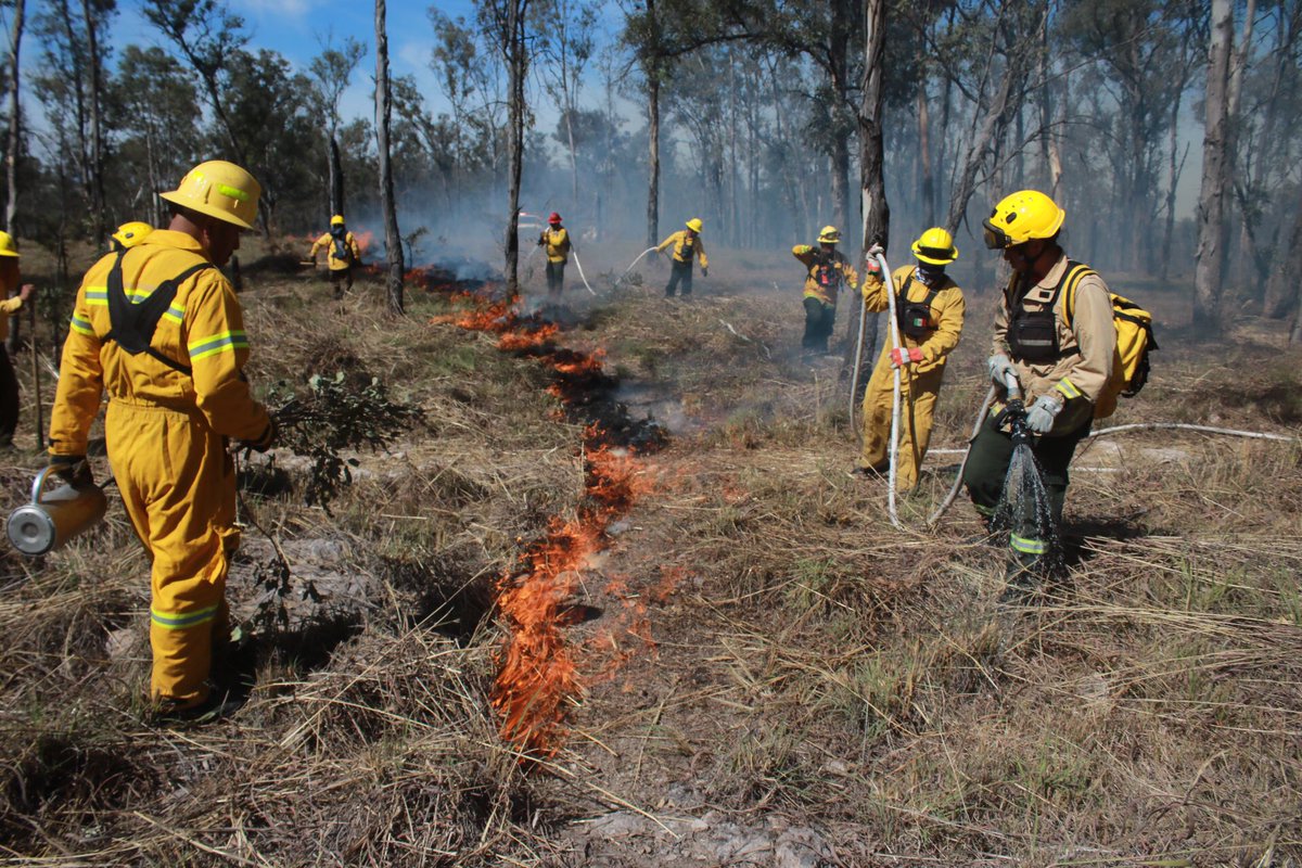 UMPCyBZ's tweet image. Algunas técnicas como #LineasNegras, #GuardaRayas y brechas #CortaFuego funcionan para la contención eficaz de posibles incendios forestales o de maleza en predios extensos y son de los trabajos realizados en las últimas semanas. 3/3
