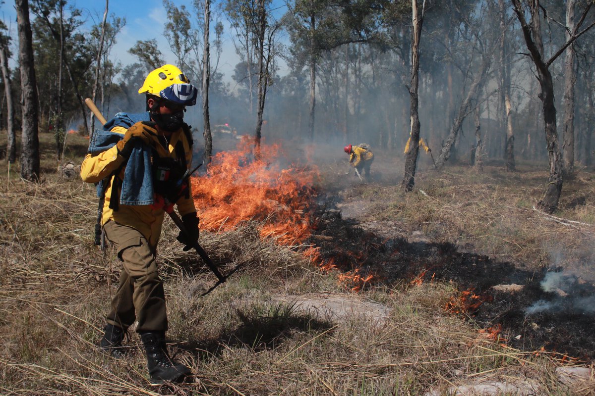 UMPCyBZ's tweet image. Algunas técnicas como #LineasNegras, #GuardaRayas y brechas #CortaFuego funcionan para la contención eficaz de posibles incendios forestales o de maleza en predios extensos y son de los trabajos realizados en las últimas semanas. 3/3