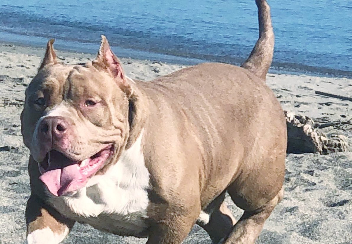 El mejor 👑👑👑