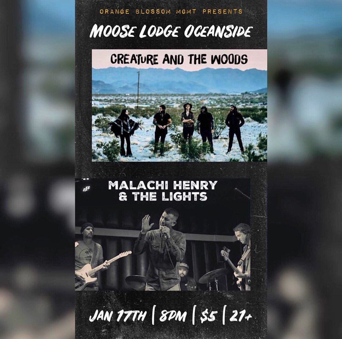 Creatureandthewoods tweet media