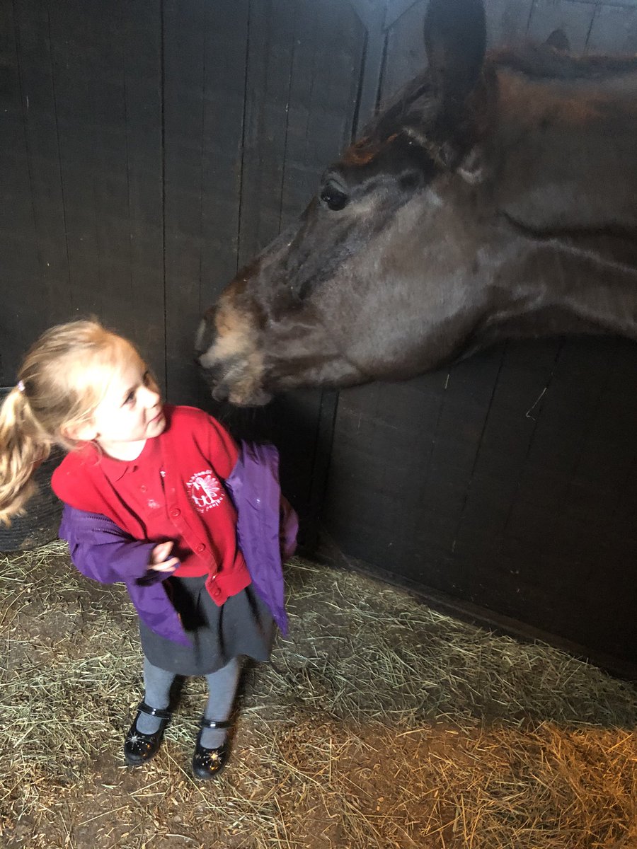 Jack loves kissing the boss goodnight, sometimes he tries too hard! #kalanisi #3yearold #SmallTrainer #Kisses #Afterschoolwork