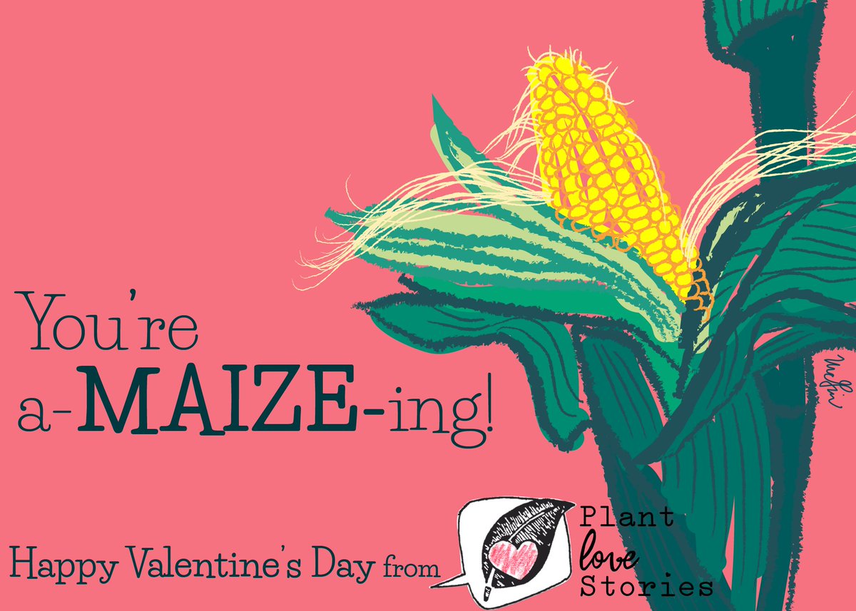 HIIII We’re looking for artists! Every year for Valentine’s Day we like to celebrate with #PlantHeartArt, plant-themed valentines, often with a planty pun. Are you an artist interested in doing an original, commissioned plant-themed valentine? (see examples here!)