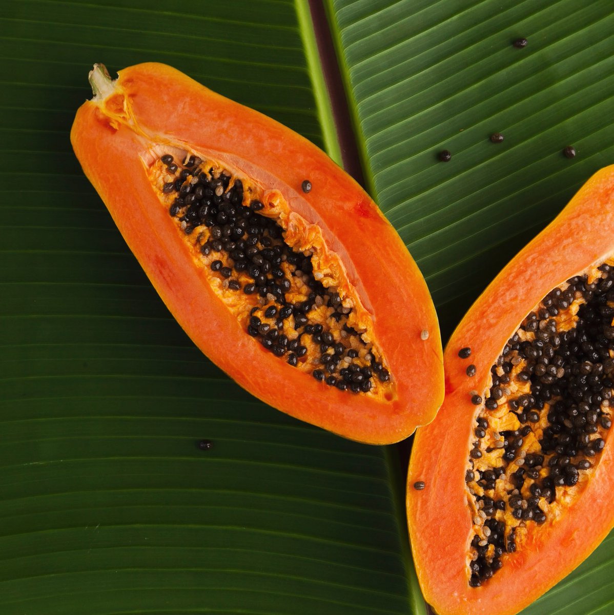 waftfragrance's tweet image. Within the Floral category of scents, you will find the Fruity fragrances... Sweet, Edible, Tropical... #fruit #fragrancefamily #fruitynotes #perfume #waft #customfragrance