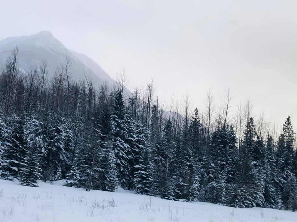 official_vivace's tweet photo. We are chilled, er, we mean THRILLED to be on a 5 show tour across Northern British Columbia, Canada!

With temperatures well into the negative 40's, we are bundled up and ready to roll on Vivace's: Coldest Tour on Earth!

#vivace #vivacetour #classicalcrossover #popera https://t.co/va1ijecnCf