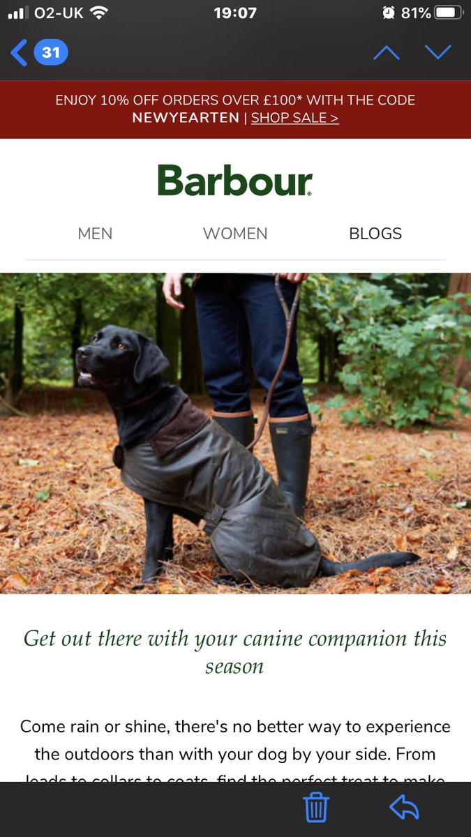 barbour dog sale
