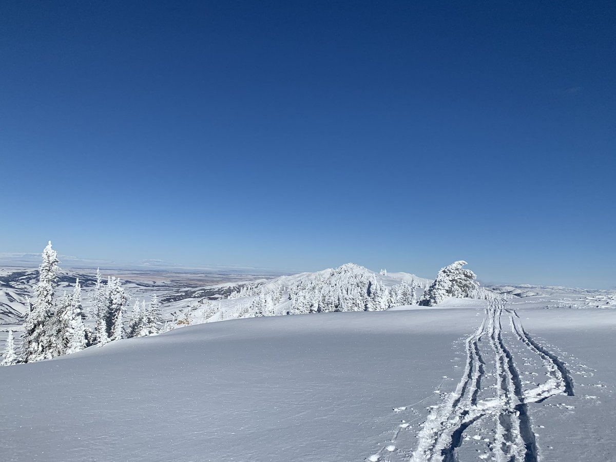 DeckadencEShopp's tweet image. Top O’ the mountain to ya 🍀 #splitboarding #idaho #idwx #bonnevillesummit #snowboard