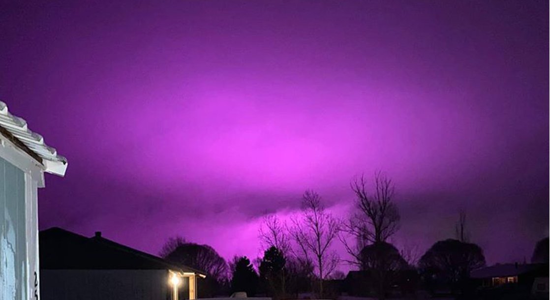 Cannabis Today tweet media