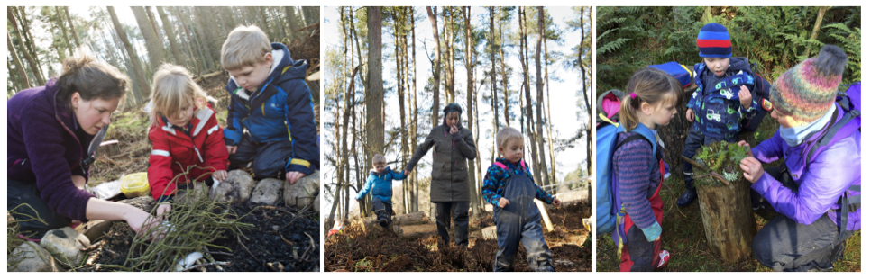 Join the Wild Sparks Board! - mailchi.mp/4cfc41665722/w…