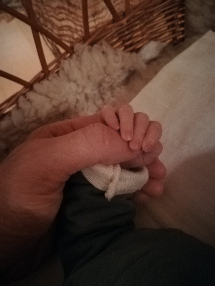 MarcCEgli's tweet photo. Proud Dad since January 8th, 2020!
Welcome to planet earth sweetheart! โค๏ธ
#lifeisincredible https://t.co/93Ar9DZ9oy