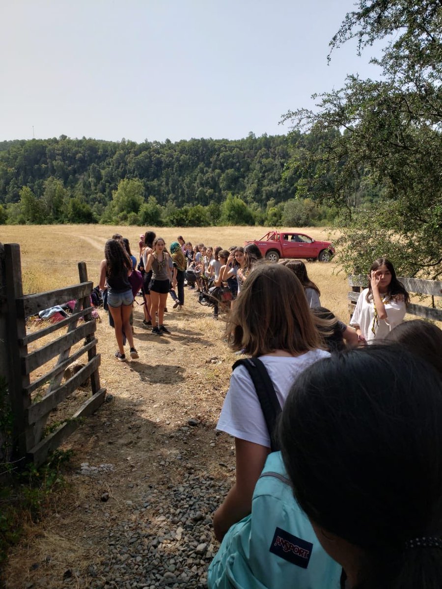 Scout Saint George tweet media