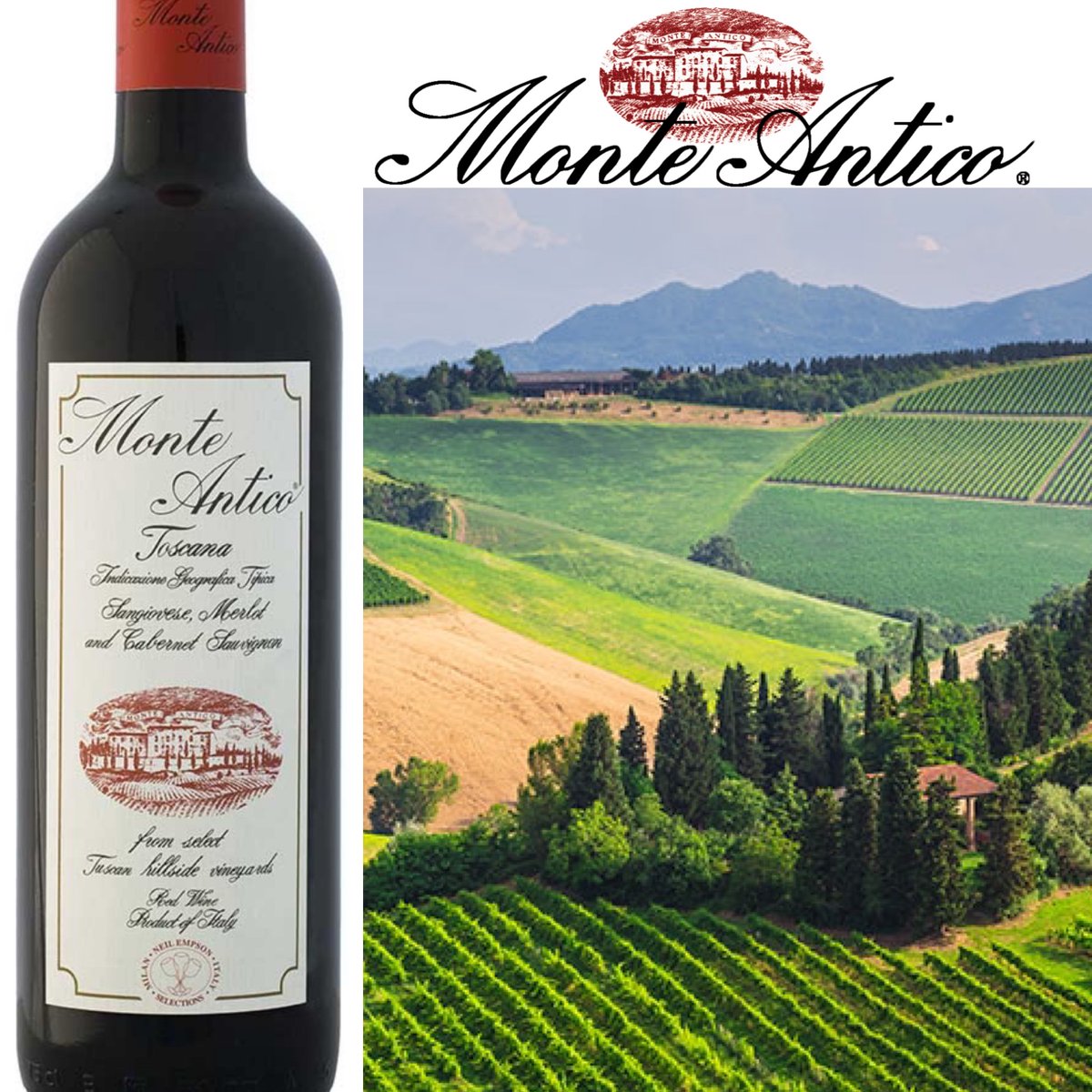 🎉❄️🥶Celebrate shovelling all the snow on the coast or toast to simply surviving the mega deep freeze in the Prairies with a fabulous glass of our #1 affordable Super-Tuscan, Monte Antico! 85% Sangiovese-10% Cabernet-5% Merlot. Awesome Tuscany value!#buybythecase #tuscany #yum