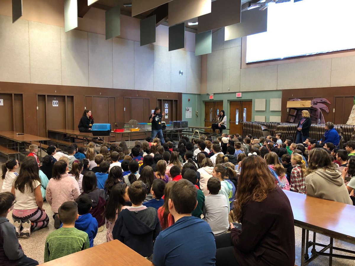LudlowPublicSch's tweet photo. THINGS GOT A LITTLE WILD @VetsParkElem when 4th graders had a visit from some very interesting & mega cooooool animals from Lupa Zoo!The visit supported the ELA curriculum focusing on the current unit about animal adaptations. #animaladaptations #LPSGrowtheGood #VetsParkPRIDE https://t.co/2RFWzmGawO