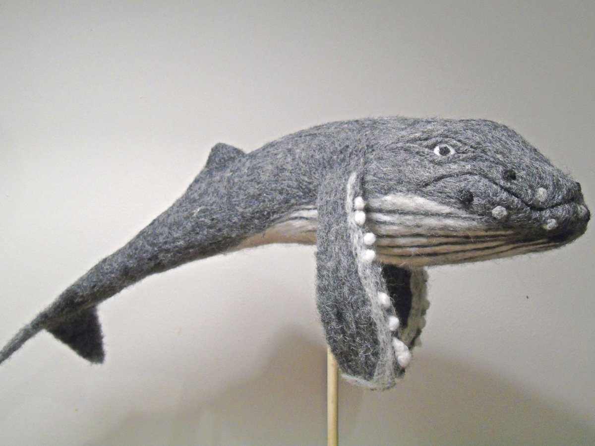 dawnestevens1's tweet photo. As a total newbie to needle felting, I'm rapidly becoming addicted. Every spare second this week, I've been stabbing wool, here's my 2nd ever make....got a bit of a thing about whales so made a humpback whale to add to my pod. #HandmadeHour #handmadehour Should he have a name? https://t.co/gfPPsZMhUS